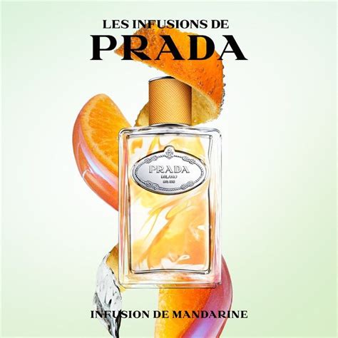 prada mandarine|The Ultimate Guide To The Prada Infusions Fragrances.